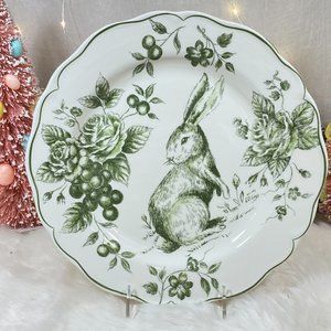 Maxcera Easter Bunny Rabbit Green White Roses Toile Dinner Plates ~New ~Set of 4